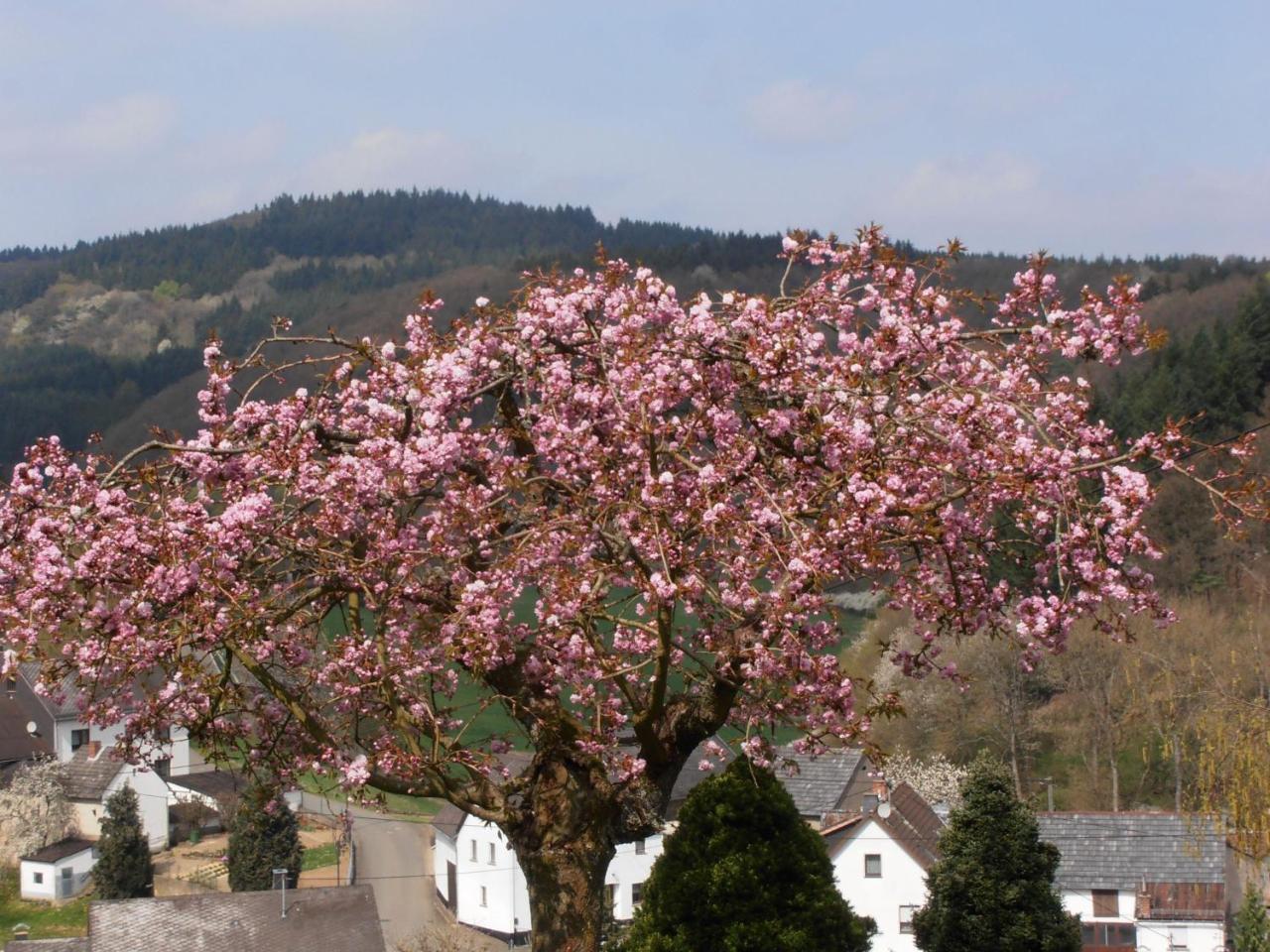 Ferienwohnung-In-Schoenster-Lage Baar  ภายนอก รูปภาพ